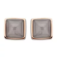 Victoria Rose gold colored earrings with brown gem