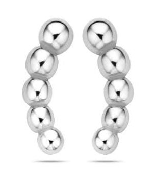 Victoria Silver color earrings