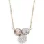 Victoria Rose gold colored multicolored stone necklace