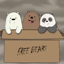 We Bare Bears