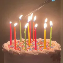 Cake Candle / Number Candle